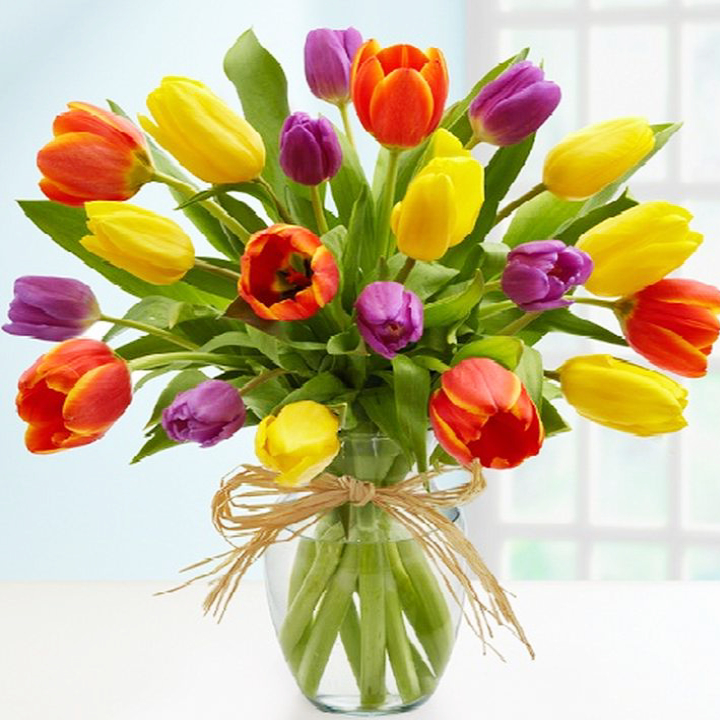 22 сорта тюльпанов к 8 марта 22 сорта тюльпанов к 8 марта