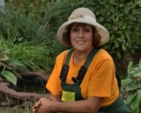 Добавлен новый выпуск "Дачные советы" от 28.01.2016 Добавлен новый выпуск "Дачные советы" от 28.01.2016