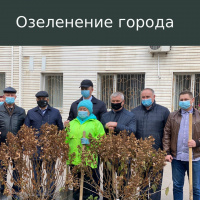 Совместно с волонтерским центром мы продолжаем акцию по озеленению города