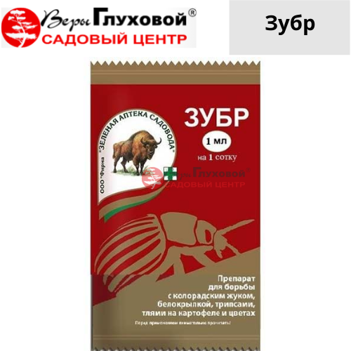 Зубр