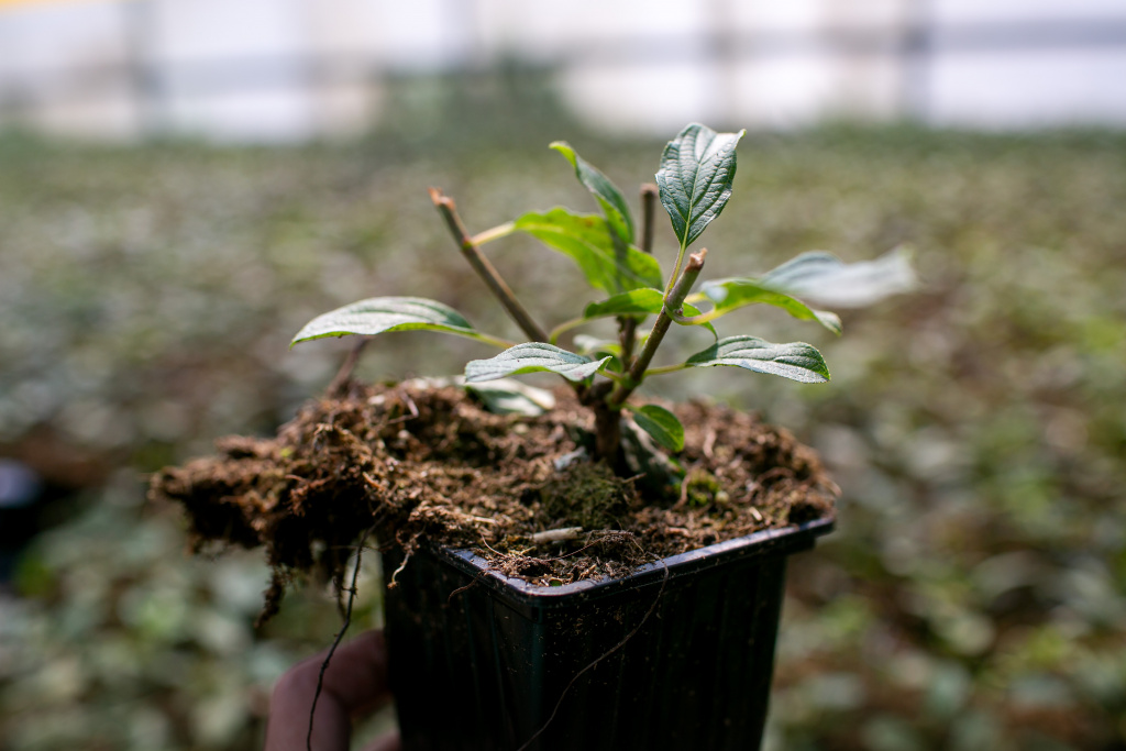 IMG_8324.jpg IMG_8324.jpg